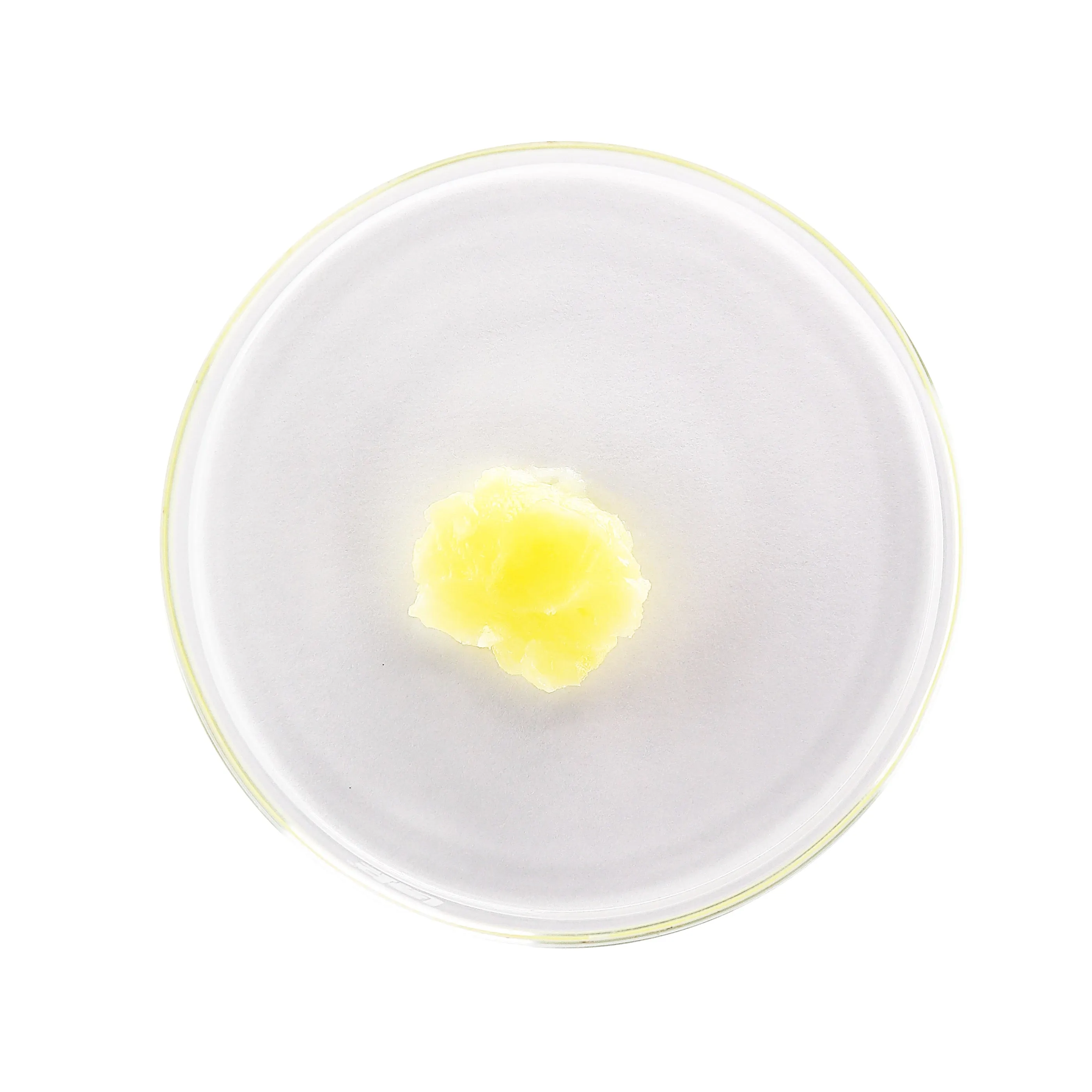 Luxe Lip Balm